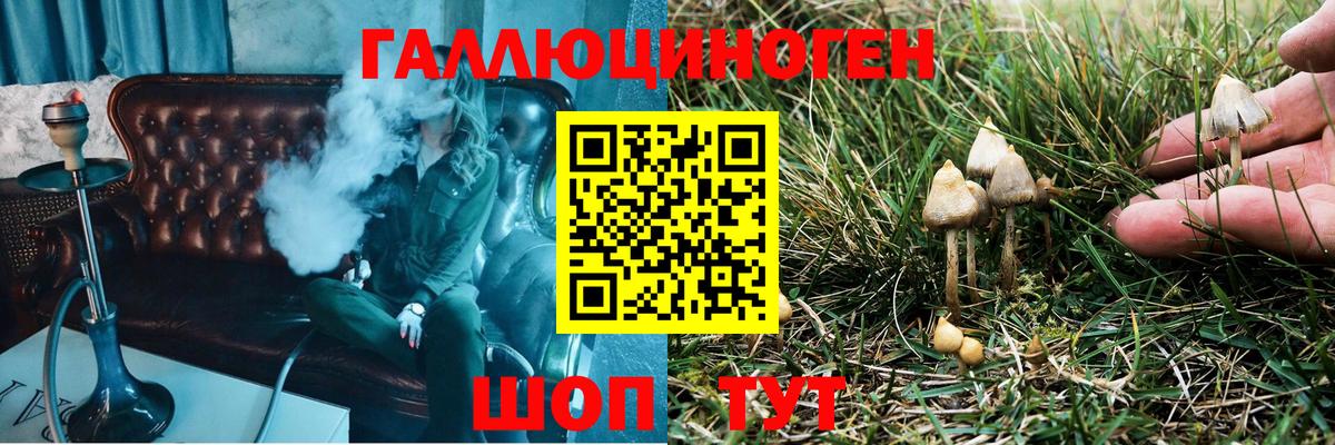 Галлюциногенные грибы Psilocybe Сызрань